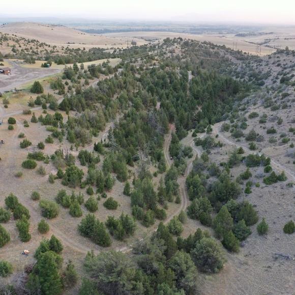 the main course from above